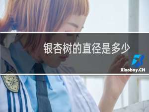 银杏树的直径是多少