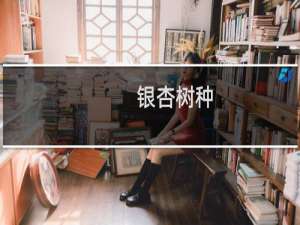 银杏树种
