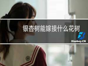 银杏树能嫁接什么花树