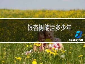 银杏树能活多少年