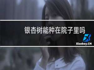 银杏树能种在院子里吗