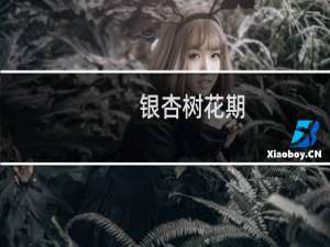 银杏树花期