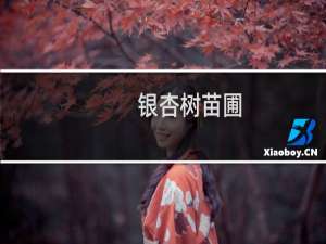 银杏树苗圃