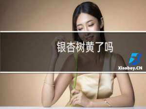银杏树黄了吗