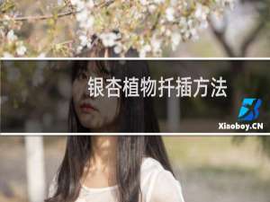 银杏植物扦插方法