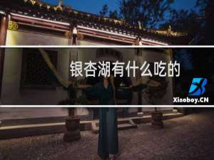 银杏湖有什么吃的