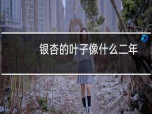 银杏的叶子像什么二年级（银杏的叶子像什么）