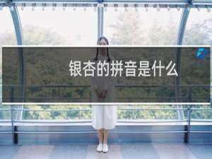 银杏的拼音是什么