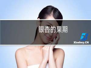 银杏的果期