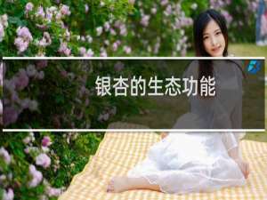 银杏的生态功能