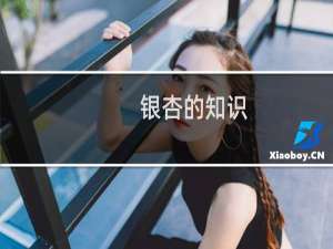 银杏的知识