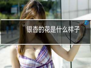银杏的花是什么样子