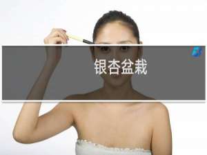 银杏盆栽