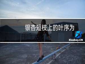 银杏短枝上的叶序为