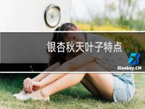 银杏秋天叶子特点