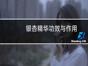 银杏精华功效与作用