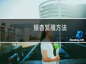 银杏繁殖方法