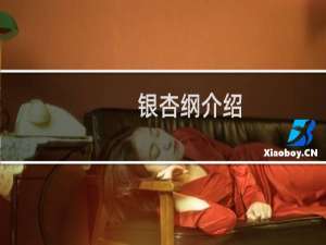 银杏纲介绍