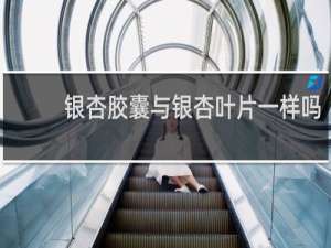 银杏胶囊与银杏叶片一样吗