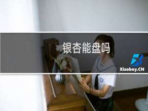 银杏能盘吗