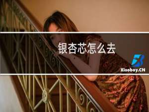 银杏芯怎么去
