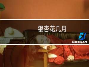 银杏花几月