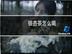 银杏茶怎么喝