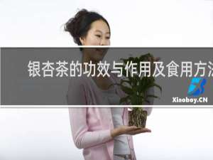 银杏茶的功效与作用及食用方法