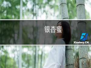 银杏蜜