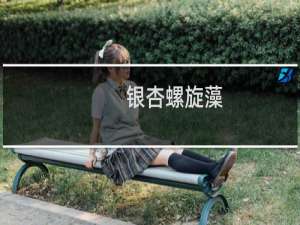 银杏螺旋藻