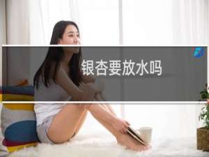 银杏要放水吗