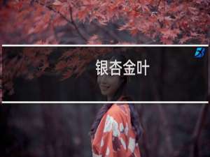 银杏金叶