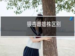 银杏雌雄株区别