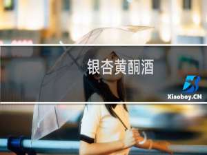银杏黄酮酒