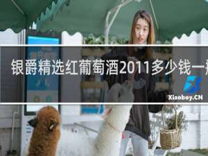 银爵精选红葡萄酒2011多少钱一瓶呢