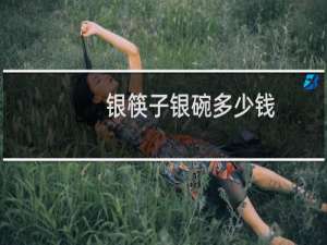 银筷子银碗多少钱