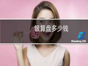 银算盘多少钱