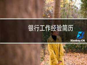 银行工作经验简历