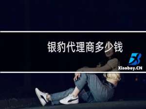 银豹代理商多少钱