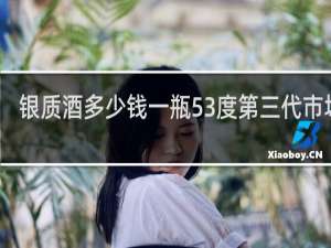 银质酒多少钱一瓶53度第三代市场价