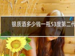 银质酒多少钱一瓶53度第二代