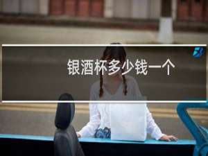 银酒杯多少钱一个