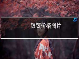 银钗价格图片