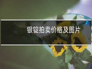 银锭拍卖价格及图片