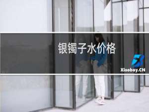 银镯子水价格