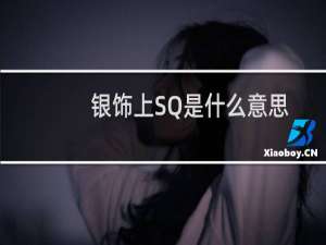 银饰上SQ是什么意思