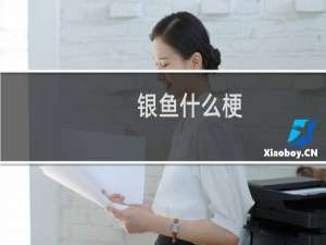 银鱼什么梗