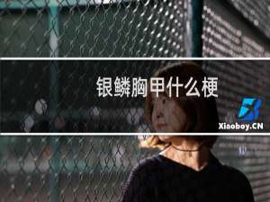 银鳞胸甲什么梗