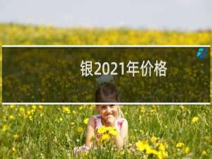 银2021年价格