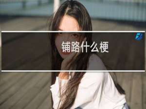 铺路什么梗